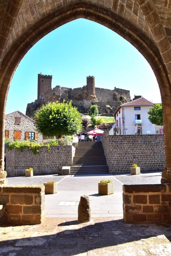 Maison Au Loup - Superbe Ancien Hotel Particulier Du Xvie Siecle Au Coeur De La Vieille Ville Du Puy Le Puy-en-Velay エクステリア 写真