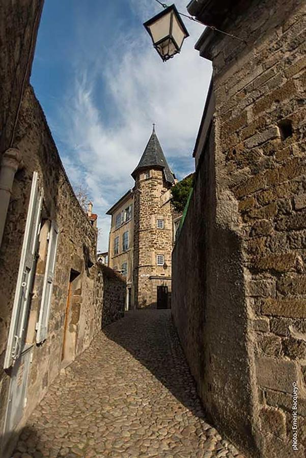Maison Au Loup - Superbe Ancien Hotel Particulier Du Xvie Siecle Au Coeur De La Vieille Ville Du Puy Le Puy-en-Velay エクステリア 写真