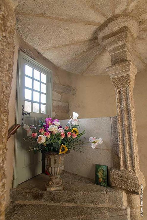 Maison Au Loup - Superbe Ancien Hotel Particulier Du Xvie Siecle Au Coeur De La Vieille Ville Du Puy Le Puy-en-Velay エクステリア 写真
