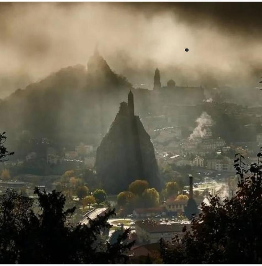 Maison Au Loup - Superbe Ancien Hotel Particulier Du Xvie Siecle Au Coeur De La Vieille Ville Du Puy Le Puy-en-Velay エクステリア 写真